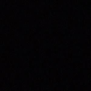 Meet your Posher, Ricky